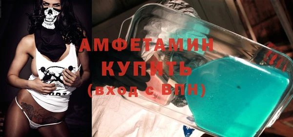 гидра Вязьма