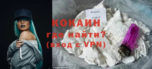 гидра Вязьма