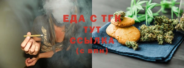 гидра Вязьма