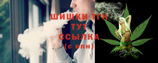 соль ск Вяземский