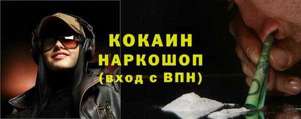 соль ск Вяземский