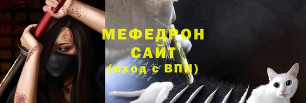 гидра Вязьма