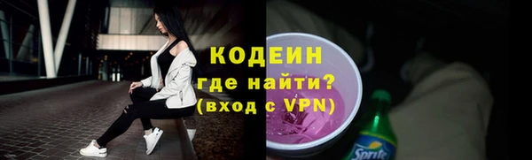 соль ск Вяземский