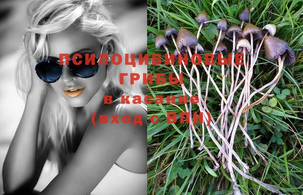 гидра Вязьма