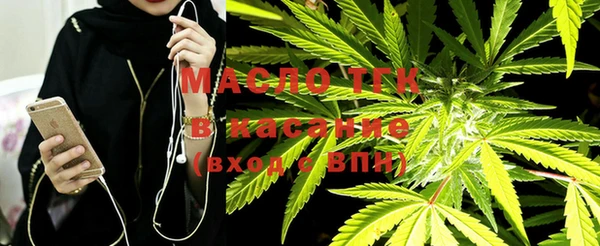 гидра Вязьма