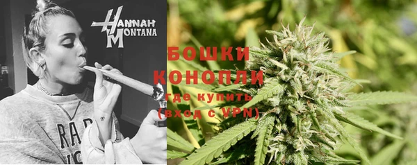 гидра Вязьма