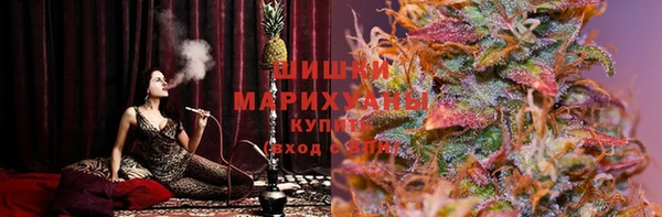 соль ск Вяземский
